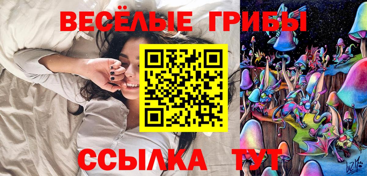 Прохладный  Галлюциногенные грибы MAGIC MUSHROOMS  Вход с VPN 